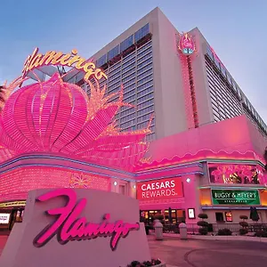 Flamingo Vegas & Casino 3*, Las Vegas USA